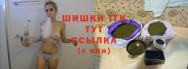 ПСИЛОЦИБИНОВЫЕ ГРИБЫ Абаза