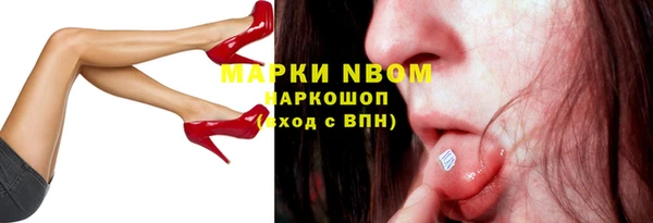 ПСИЛОЦИБИНОВЫЕ ГРИБЫ Абаза