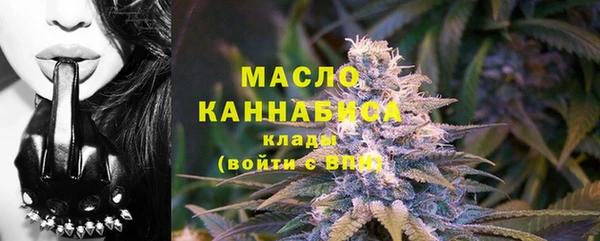 индика Болотное