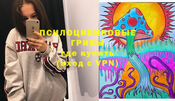 ПСИЛОЦИБИНОВЫЕ ГРИБЫ Абаза